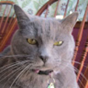 Meet your Posher, Karen